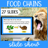 Food chains slideshow Google Slides and PowerPoint present