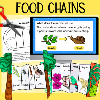 Preview of Food chains in different habitats slide show and foldout activity science lesson