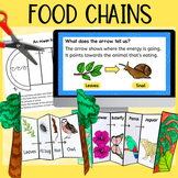 Food chains slide show and foldout activity science lesson