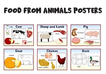 Food from Animals Posters - Classroom Decoration Food from Animals Posters