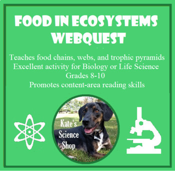 Preview of Food in Ecosystems Webquest