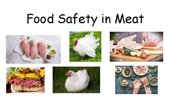 Preview of Food safety in meats - student research templates