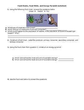 Food web and Food Chain Worksheet by EnviroScience | TPT