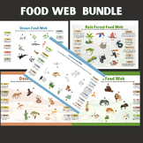 Food web bundle