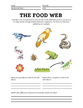 Food web worksheet by Ninad Choudhury | TPT