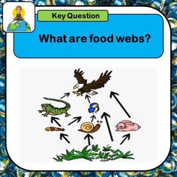 Preview of Food webs & food chains, Ecosystems