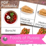 Foods of Russia 3 Part Nomenclature Cards for Montessori C