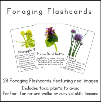 Preview of Foraging Edible Plants Flashcards for Nature Schooling