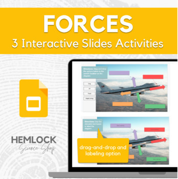 Preview of Forces Acting on a Plane - drag-and-drop and labeling activities in Slides