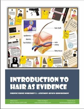 Preview of Forensic Analysis of Hair Evidence Two Worksheet Bundle