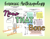 Forensic Anthropology: Name That Bone Student Activities