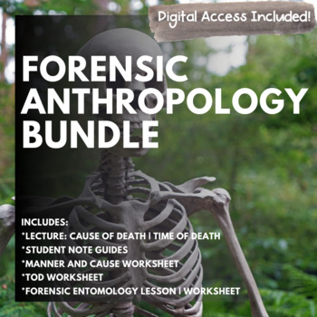 Preview of Forensic Anthropology Notes and Worksheet Bundle