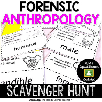 Preview of Forensic Anthropology Scavenger Hunt- Print and Digital