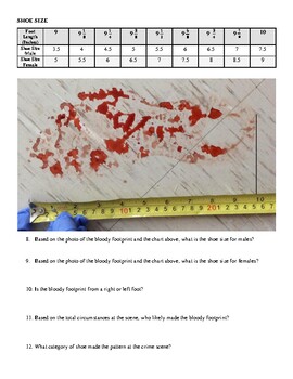 Preview of Forensic Crime Scene Activity- Apartment- for Tools & Footprints