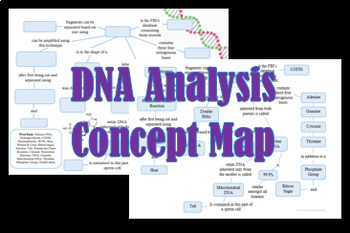 Preview of Forensic DNA Analysis Concept Map