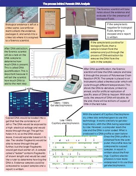 Preview of Forensic DNA Analysis Infographic