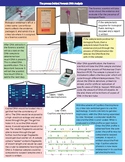 Forensic DNA Analysis Infographic