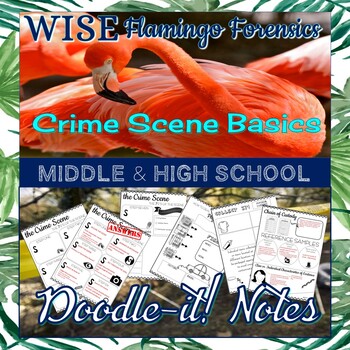 Preview of Forensic Doodle-it! Notes: Crime Scene Basics