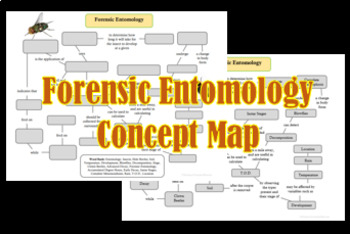 Preview of Forensic Entomology Concept Map