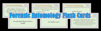 Preview of Forensic Entomology Flash Cards