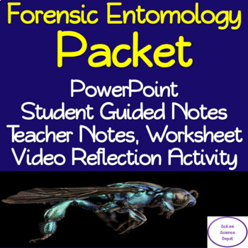 Forensic Entomology Packet Powerpoint Student Guided Notes Worksheet Activity