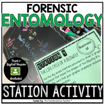 Preview of Forensic Entomology Station Activity- Print and Digital