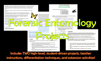 Preview of Forensic Entomology Student Projects