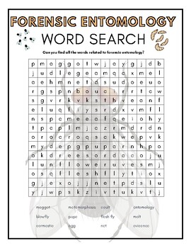 Preview of Forensic Entomology Word Search