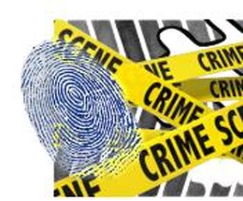 Preview of Forensic Evidence WebQuest Bundle