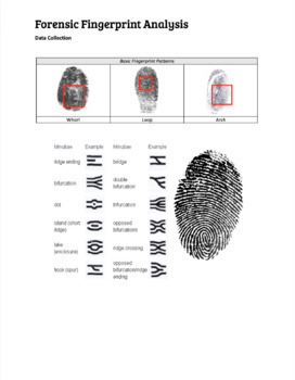 Forensic Fingerprint Analysis - GOOGLE VERSION by Mr Noondi | TpT