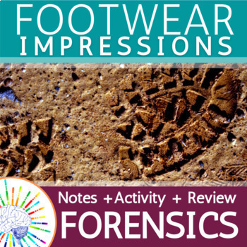 Preview of Forensic Footwear Impression Evidence Lesson: Notes + Activities + Review
