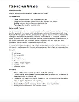 Forensic Hair Analysis - PDF VERSION by Mr Noondi | TPT