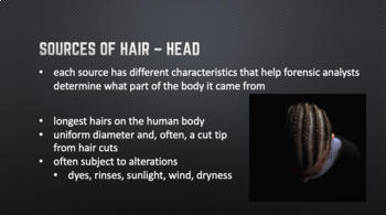 Forensic Hair Analysis - PDF VERSION by Mr Noondi | TPT