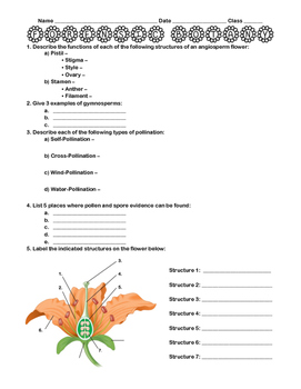 Preview of Forensic Palynology Worksheet + Lab Activity
