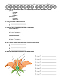 Forensic Palynology Worksheet + Lab Activity