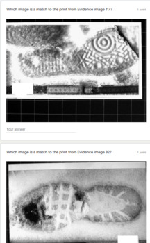 Preview of Forensic Science HS - Shoeprint / Imprint Matching
