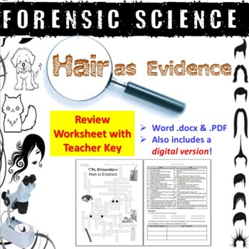 Forensic Science: Hair as Evidence Review Worksheet and ...