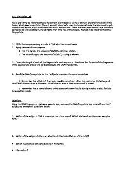 Preview of Forensic Science RFLP DNA simulation activity
