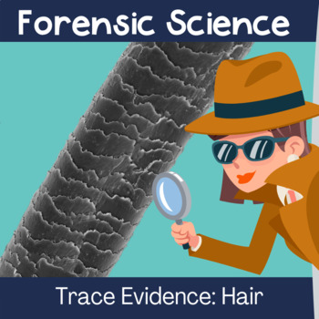 Preview of Forensic Science Trace Evidence Hair Notes and Lab