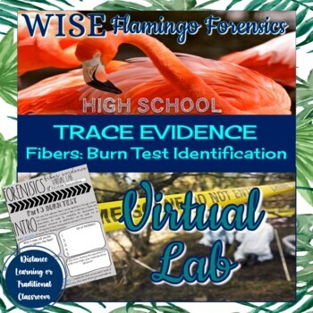 Preview of Forensic Science Virtual Fibers Identification Lab Burn Test DIGITAL RESOURCE