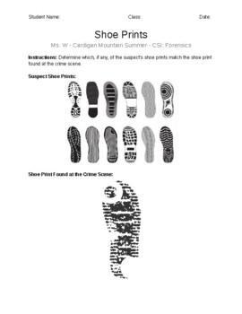 Preview of Forensic ShoePrint Worksheet