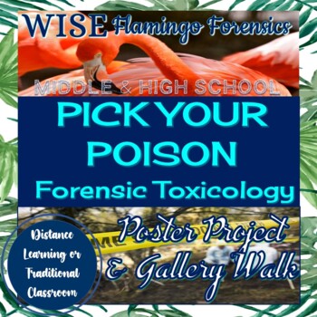 Preview of Forensic Chemistry TOXICOLOGY Poster Project and Gallery Walk PRINT and DIGITAL