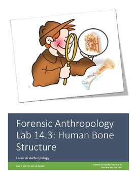 Preview of Forensics Anthropology Unit 14.3 Lab & Review Worksheet : Human Bone Structure