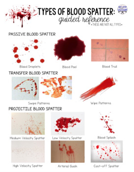 blood spatter analyst