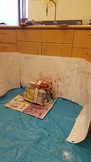 Forensics - Blood spatter analysis lab student led activity