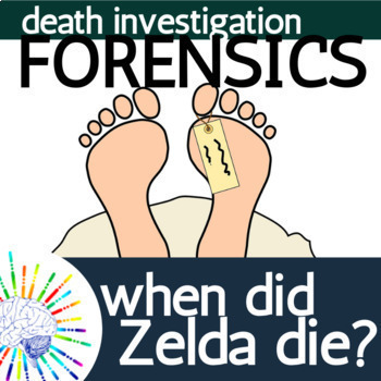 Preview of Forensics Death Investigation: Time Since Death - Accident or Murder?? No Prep!