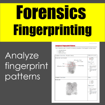 Fingerprint Basics Worksheet Answers - Worksheet List