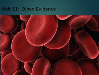 Preview of Forensics Unit 11 PPT:  Blood Evidence (SIOP & Differentiated)