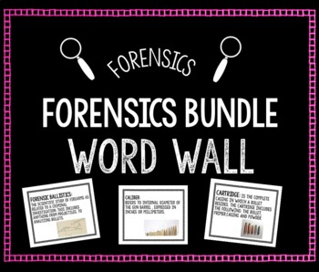 Preview of Forensics Word Wall