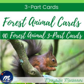 Preview of Forest Animal 3 Part Cards Montessori Matching Task Memory Vocabulary